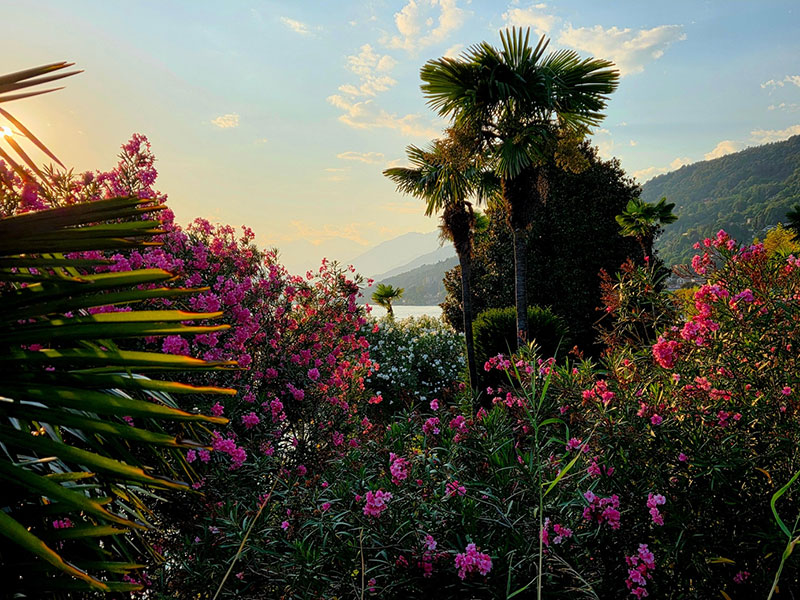 Lago Maggiore 2027 1